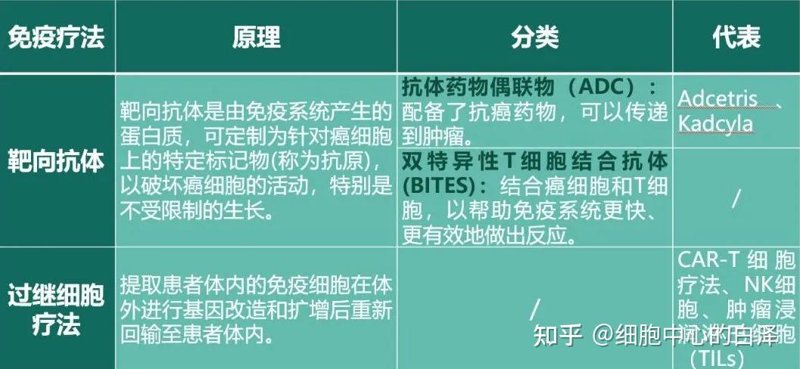 生物科技:推动未来医疗的强大力量